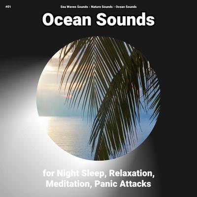 Ocean Sounds for Night Sleep and Relaxation Pt. 39 By Sea Waves Sounds, Nature Sounds, Ocean Sounds's cover