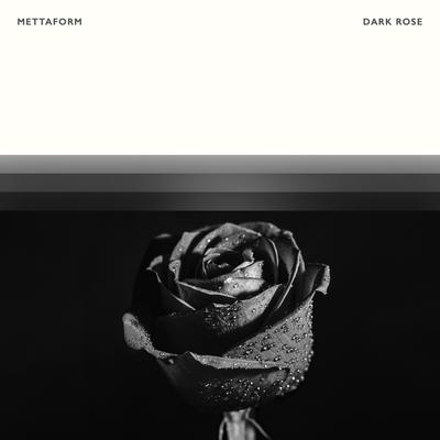 Dark Rose By MettaForm's cover