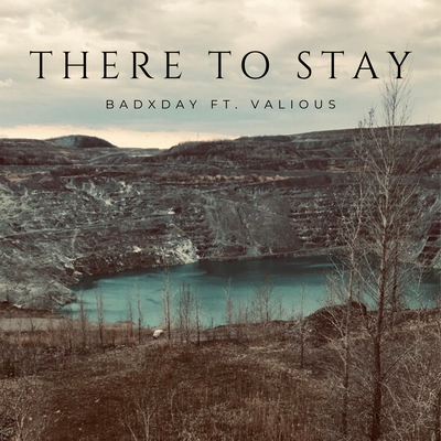 There to Stay By badXday, Valious's cover