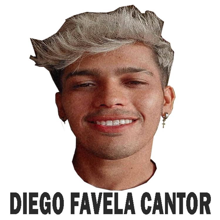 Diego favela's avatar image