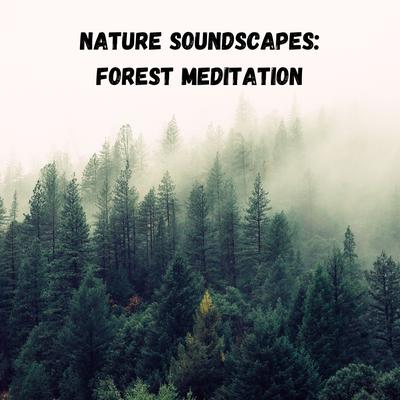 Nature Soundscapes: Forest Meditation's cover