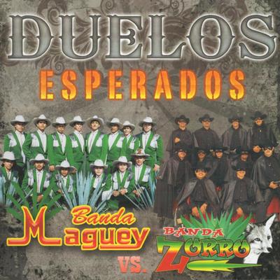 Duelos Esperados's cover
