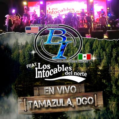 En Vivo Desde Tamazula, DGO's cover