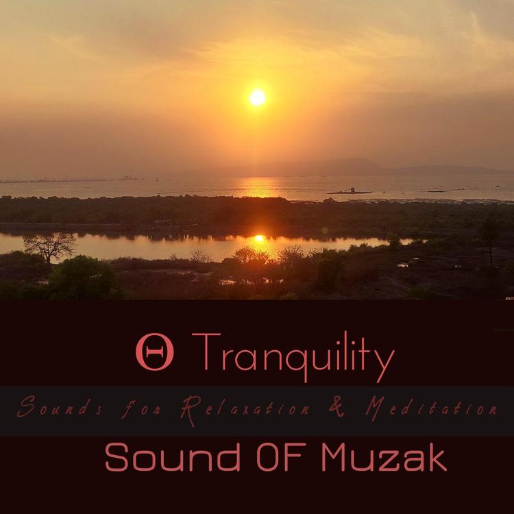 Sound of Muzak's avatar image