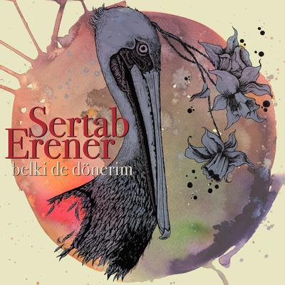 Belki De Dönerim's cover