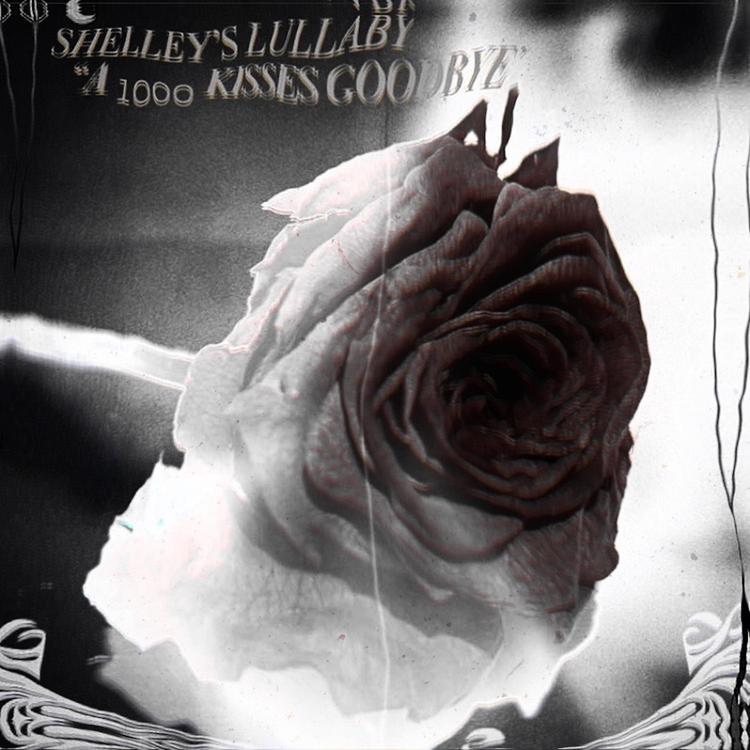 Shelley's Lullaby's avatar image