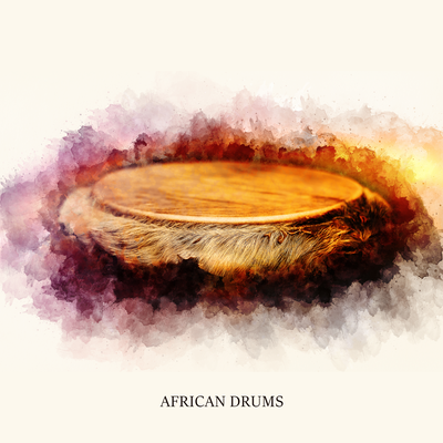 South African Rhythms's cover
