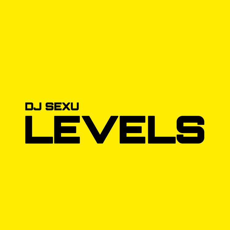 DJ SEXU's avatar image