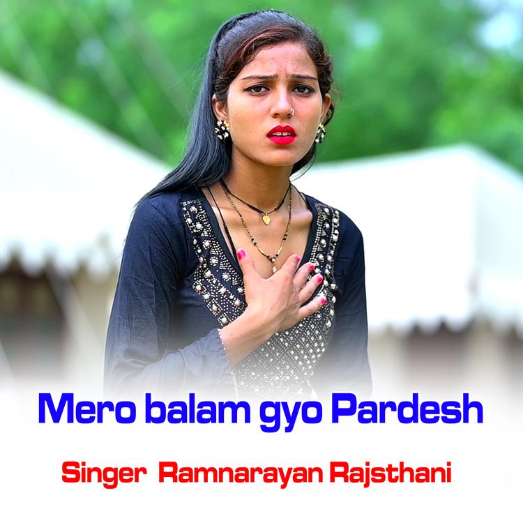 Ramnarayan Rajasthani's avatar image
