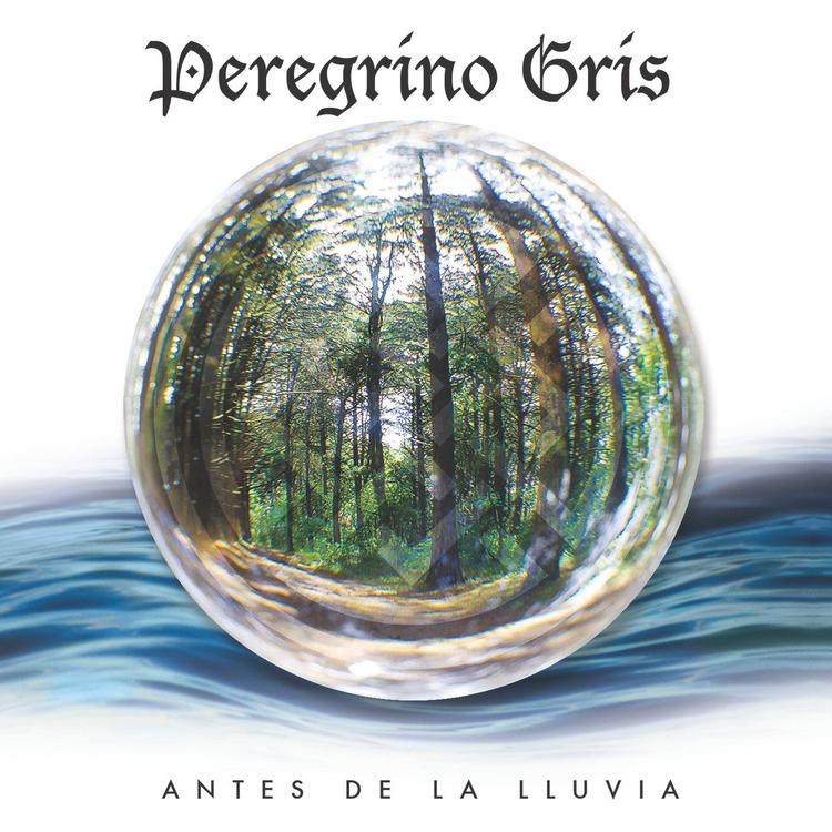 Peregrino Gris's avatar image