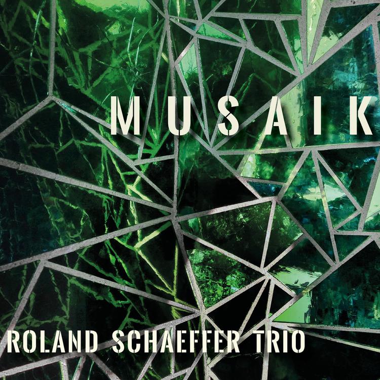 Roland Schaeffer Trio's avatar image