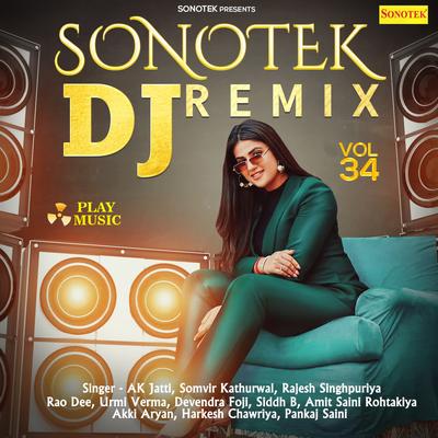 Sonotek Dj Remix Vol 34's cover