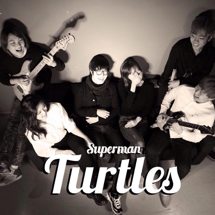 Turtles's avatar image