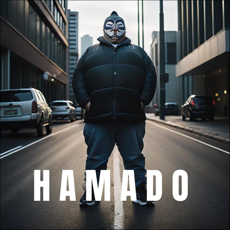 Hamado's avatar image