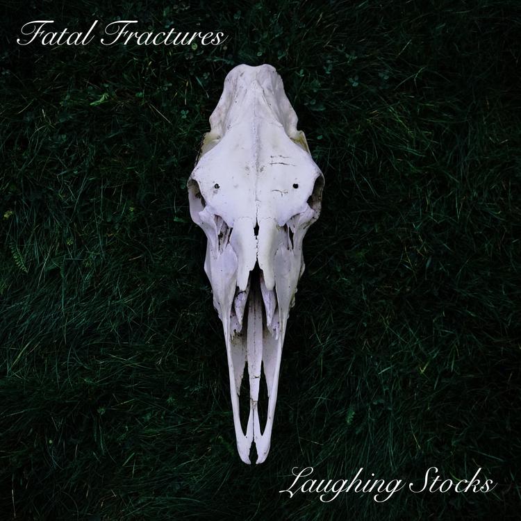 Fatal Fractures's avatar image