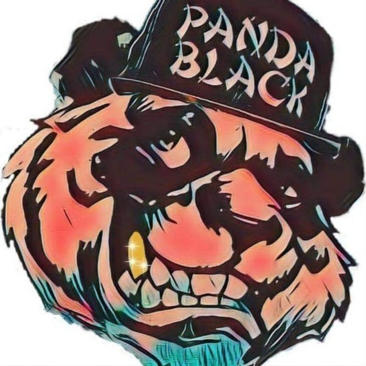 Panda Black's avatar image