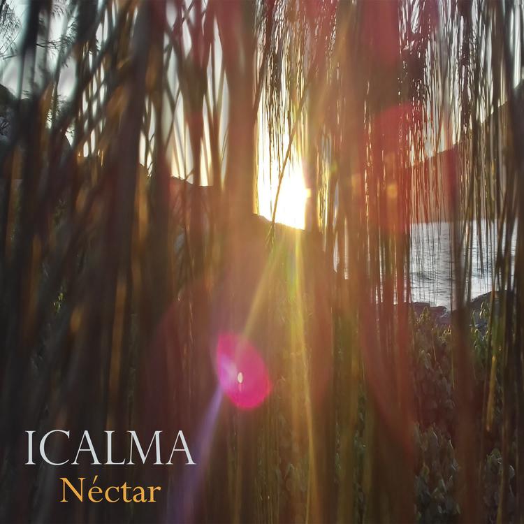 Icalma's avatar image