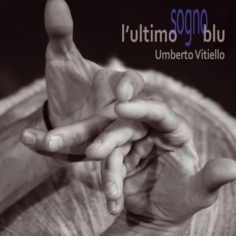 Umberto Vitiello's avatar image