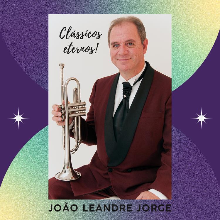 JOÃO LEANDRE JORGE's avatar image