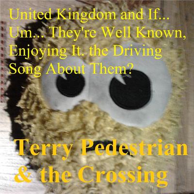 Paul McCartney Can Drive My Car (Baby) By Terry Pedestrian & the Crossing's cover