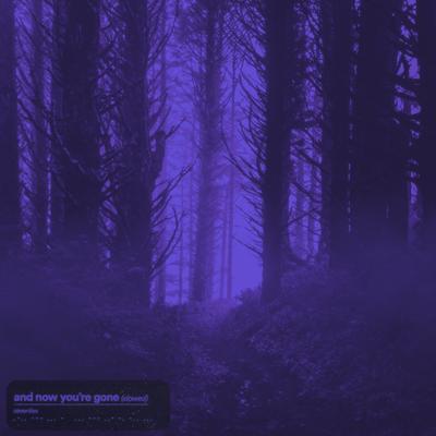 and now you're gone (Slowed + Reverb)'s cover