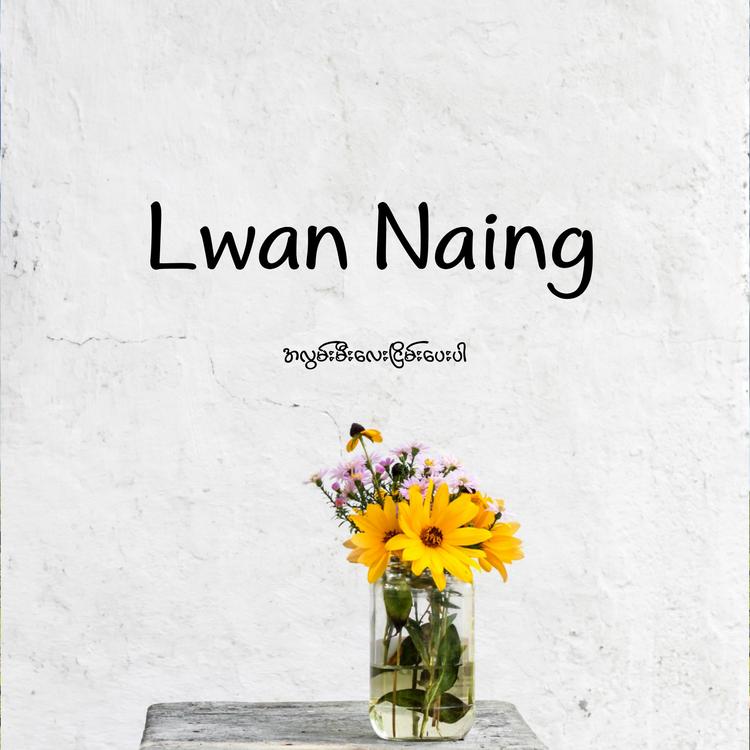 Lwan Naing's avatar image