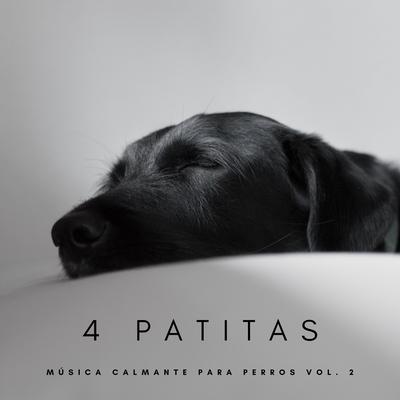 Canciones De Perros's cover