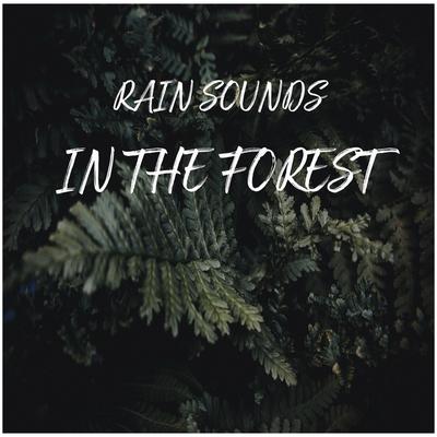 Gentle Raindrops in the Forest for Sleeping, Pt. 34's cover