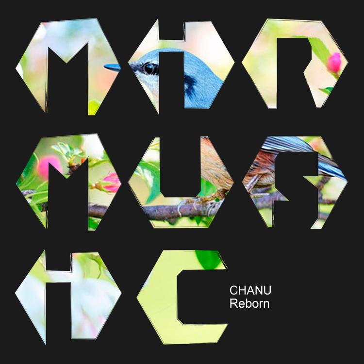 Chanu's avatar image
