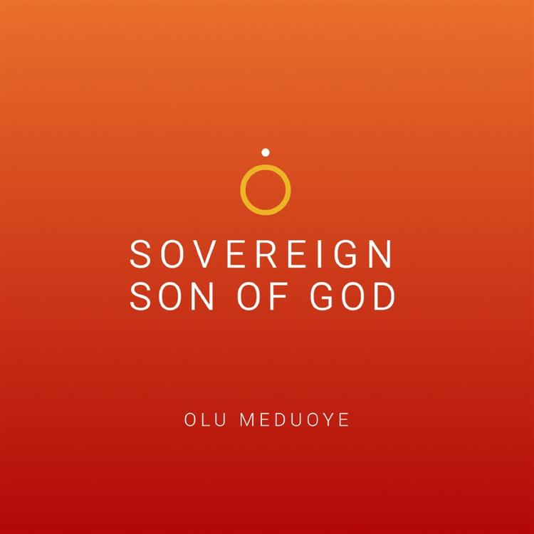 Olu Meduoye's avatar image