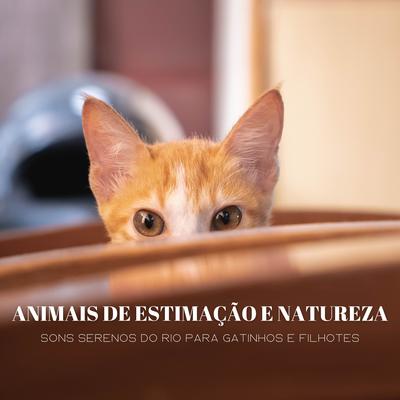 Jogando Para Pegar By Música Para Cães Adormecidos, Música para Massagem Especialistas, Relaxamento Soundscape's cover