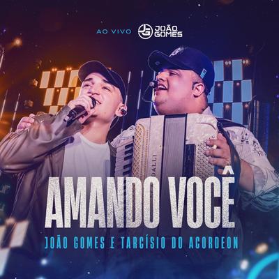 Amando Você (Ao Vivo)'s cover