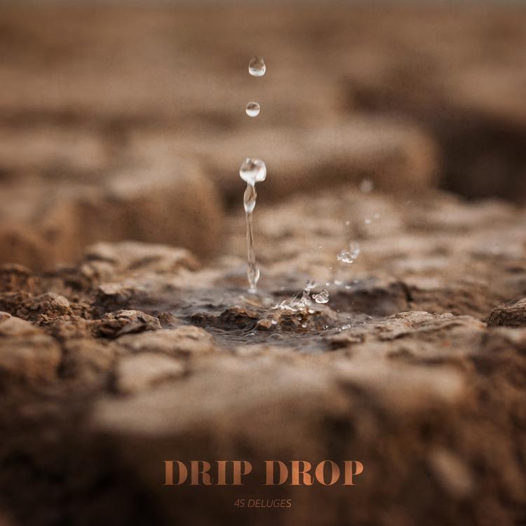 Drip Drop's avatar image