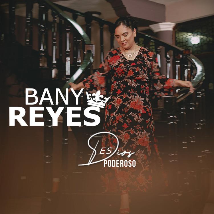 Bany Reyes's avatar image