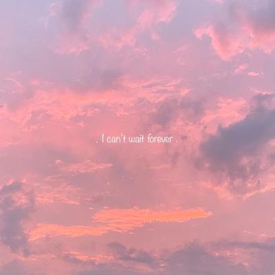 I Can't Wait Forever's cover
