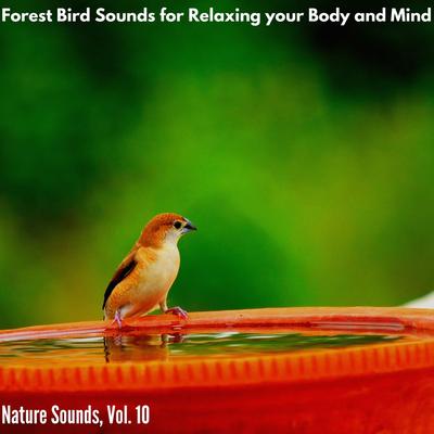 Forest Bird Sounds for Relaxing your Body and Mind - Nature Sounds, Vol. 10's cover