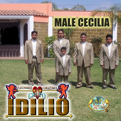 Chag'xin Jirhinantan By Grupo Idilio's cover