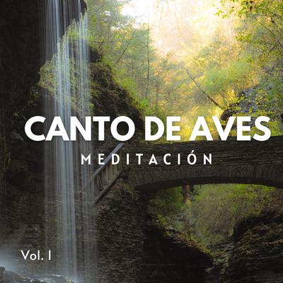 Meditación: Canto De Aves En Un Río Tranquilo Vol. 1's cover