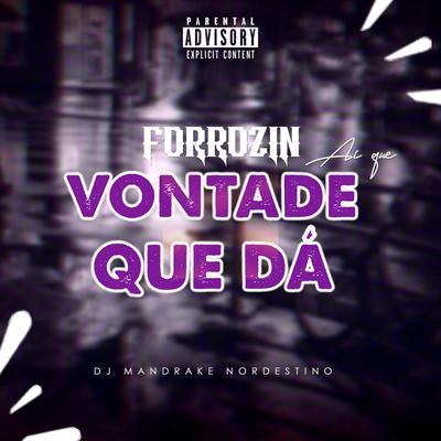 Forrozin Ai Que Vontade Que Dá By Dj Mandrake Nordestino's cover