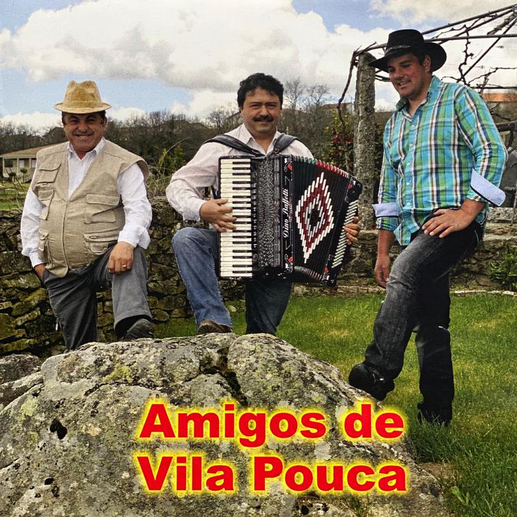 Amigos De Vila Pouca's avatar image