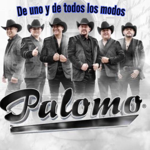 #palomo's cover