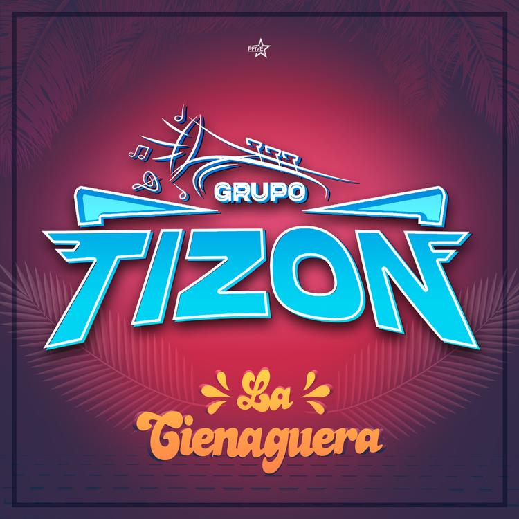 Grupo Tizon's avatar image