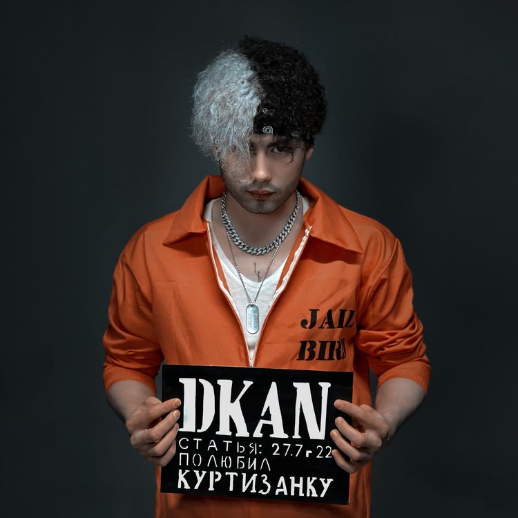 DKAN's avatar image