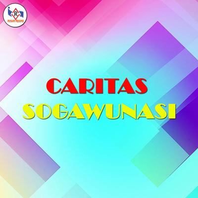 LAGU NIAS - CARITAS SOGAWUNASI VOL 5's cover