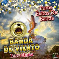 Banda De Viento Estrellada's avatar cover