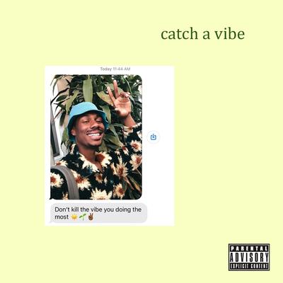 catch a vibe By BradBrooks's cover