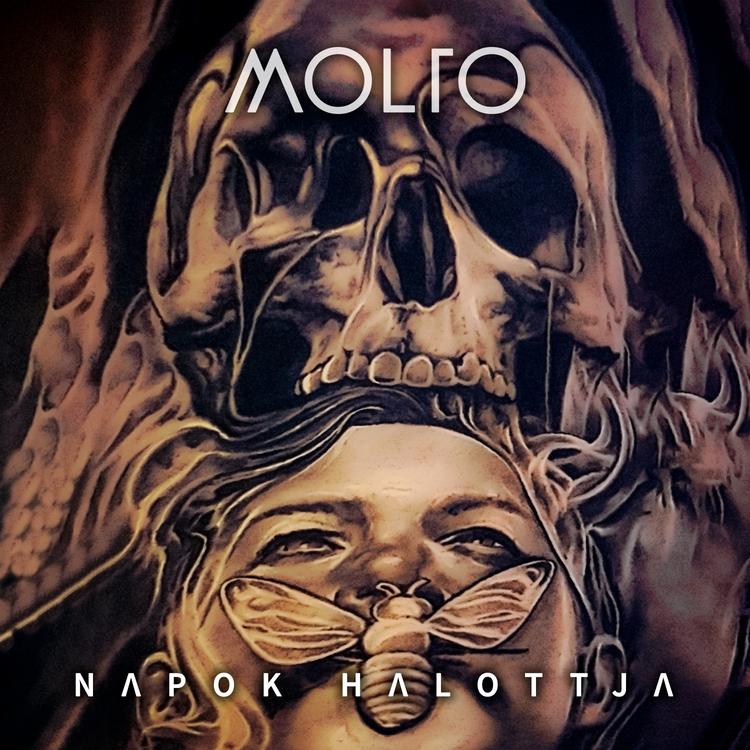 Molto's avatar image