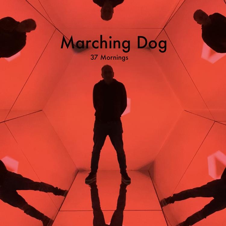 Marching Dog's avatar image