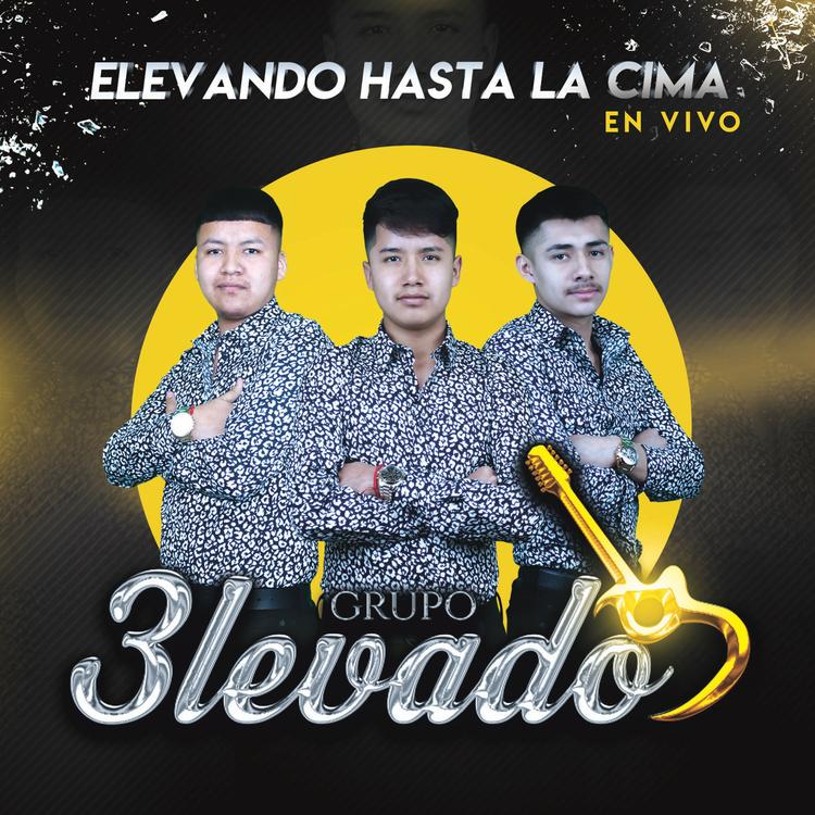 Grupo 3levado's avatar image