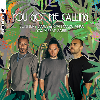 You Got Me Calling By Sunnery James & Ryan Marciano, YAX.X, SABRI's cover